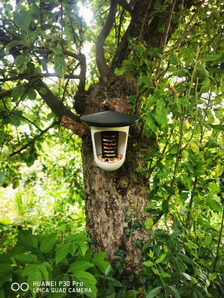 1Stk Hallo Multi FeedR - hat Platz für alle Arten von Vogelfutter, von Talgbällchen und Erdnüssen bis zu Pellets und Sonnenblumenkernen.